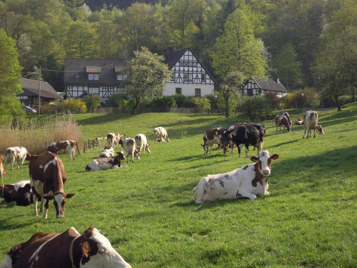 Ferienhof Richard Lennestadt Bagian luar foto