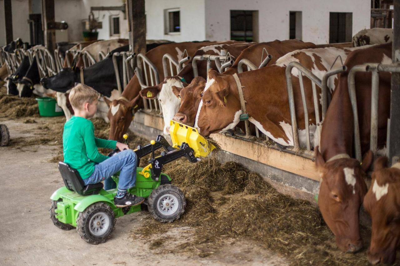 Ferienhof Richard Lennestadt Bagian luar foto